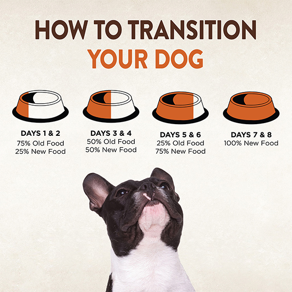 how to transition your dog to a new food